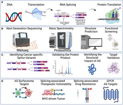 Frontiers | Multi-omics approach to identifying isoform variants 